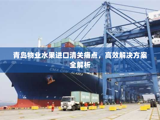 青岛物业水果进口清关痛点,高效解决方案全解析 青岛物业水果进口清关痛点,高效解决方案全解析