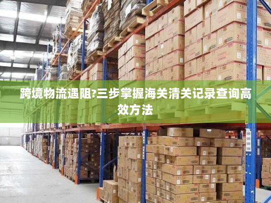 跨境物流遇阻?三步掌握海关清关记录查询高效方法