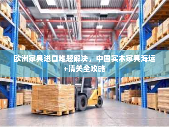 欧洲家具进口难题解决，中国实木家具海运+清关全攻略