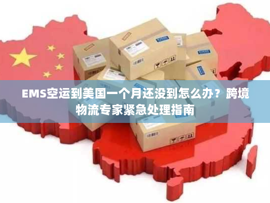 EMS空运到美国一个月还没到怎么办？跨境物流专家紧急处理指南
