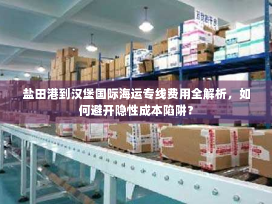 盐田港到汉堡国际海运专线费用全解析，如何避开隐性成本陷阱？