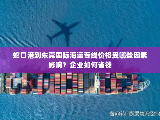 蛇口港到东莞国际海运专线价格受哪些因素影响？企业如何省钱