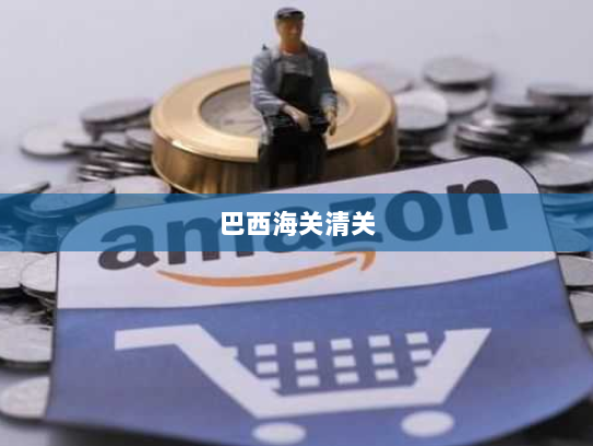 巴西海关清关