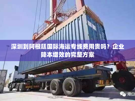深圳到阿根廷国际海运专线费用贵吗？企业降本增效的完整方案