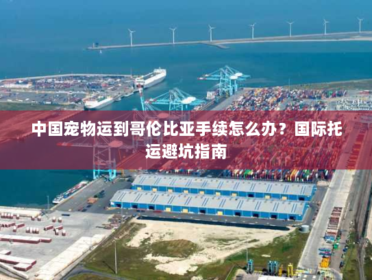 中国宠物运到哥伦比亚手续怎么办？国际托运避坑指南