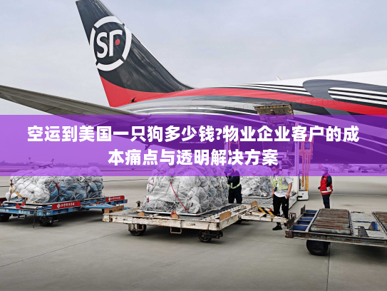 空运到美国一只狗多少钱?物业企业客户的成本痛点与透明解决方案 空运到美国一只狗多少钱?物业企业客户的成本痛点与透明解决方案
