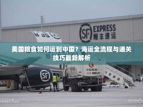 美国粮食如何运到中国？海运全流程与通关技巧最新解析