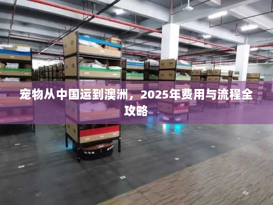 宠物从中国运到澳洲,2025年费用与流程全攻略 宠物从中国运到澳洲,2025年费用与流程全攻略