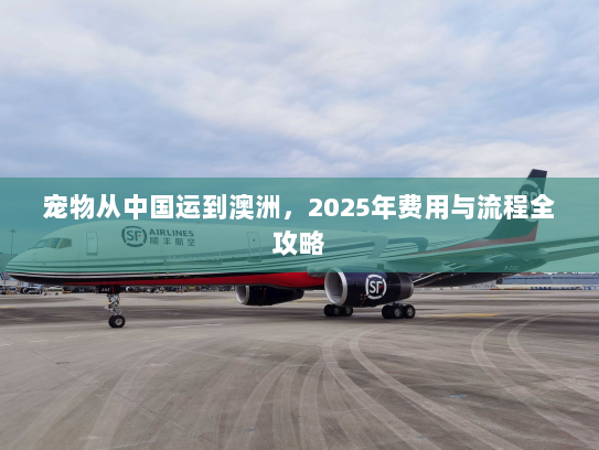 宠物从中国运到澳洲，2025年费用与流程全攻略