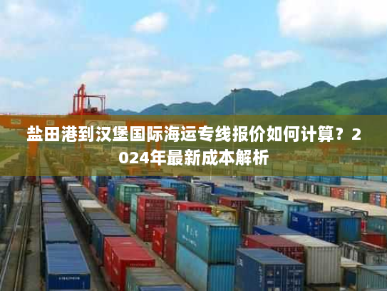 盐田港到汉堡国际海运专线报价如何计算？2024年最新成本解析