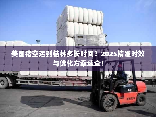 美国猪空运到桔林多长时间?2025精准时效与优化方案速查! 美国猪空运到桔林多长时间?2025精准时效与优化方案速查!