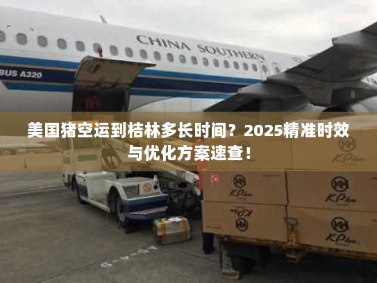 美国猪空运到桔林多长时间?2025精准时效与优化方案速查! 美国猪空运到桔林多长时间?2025精准时效与优化方案速查!