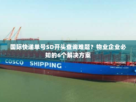 国际快递单号SD开头查询难题？物业企业必知的6个解决方案