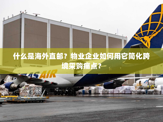 什么是海外直邮?物业企业如何用它简化跨境采购痛点? 什么是海外直邮?物业企业如何用它简化跨境采购痛点?