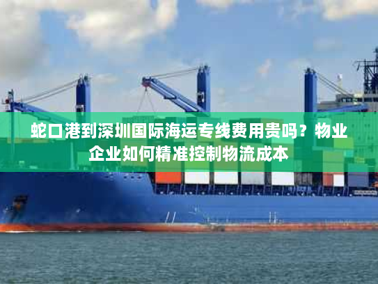 蛇口港到深圳国际海运专线费用贵吗?物业企业如何精准控制物流成本 蛇口港到深圳国际海运专线费用贵吗?物业企业如何精准控制物流成本