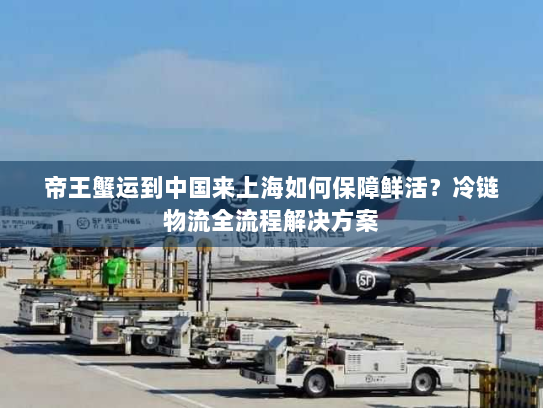 帝王蟹运到中国来上海如何保障鲜活？冷链物流全流程解决方案