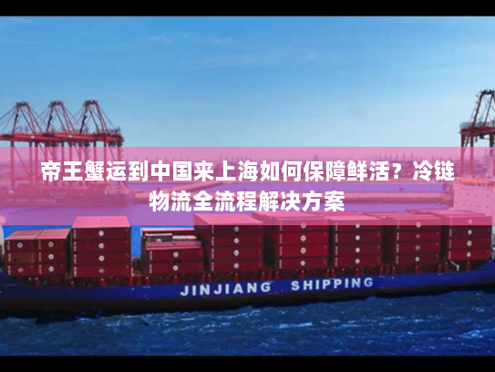 帝王蟹运到中国来上海如何保障鲜活？冷链物流全流程解决方案