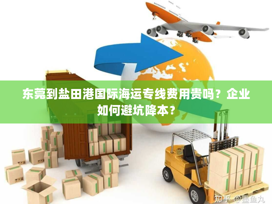 东莞到盐田港国际海运专线费用贵吗？企业如何避坑降本？