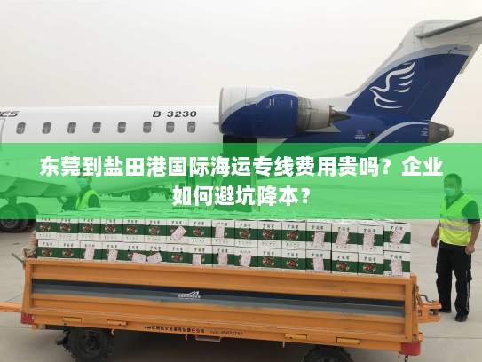 东莞到盐田港国际海运专线费用贵吗？企业如何避坑降本？