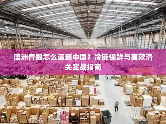 澳洲青提怎么运到中国？冷链保鲜与高效清关实战指南