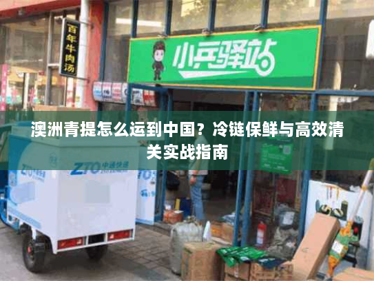 澳洲青提怎么运到中国？冷链保鲜与高效清关实战指南