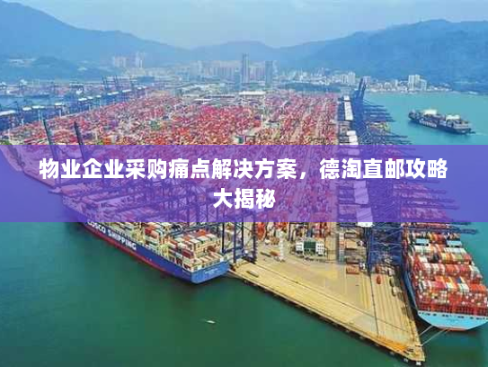 物业企业采购痛点解决方案,德淘直邮攻略大揭秘 物业企业采购痛点解决方案,德淘直邮攻略大揭秘