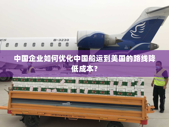 中国企业如何优化中国船运到美国的路线降低成本？