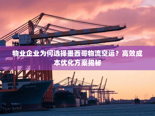 物业企业为何选择墨西哥物流空运?高效成本优化方案揭秘 物业企业为何选择墨西哥物流空运?高效成本优化方案揭秘