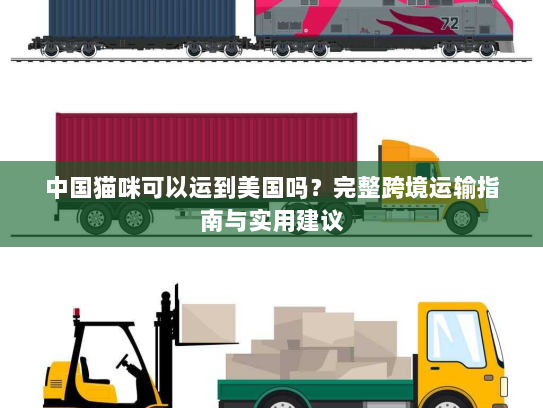 中国猫咪可以运到美国吗？完整跨境运输指南与实用建议
