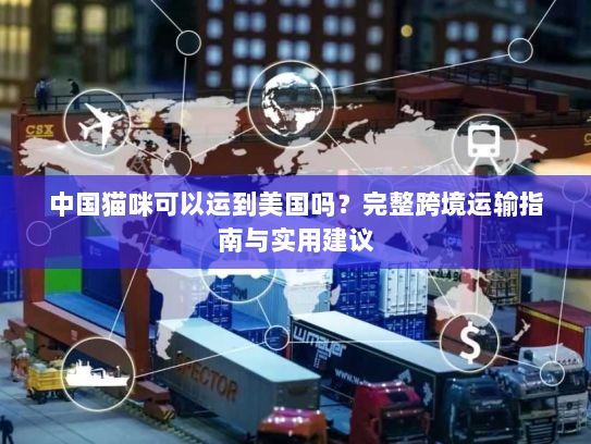 中国猫咪可以运到美国吗？完整跨境运输指南与实用建议