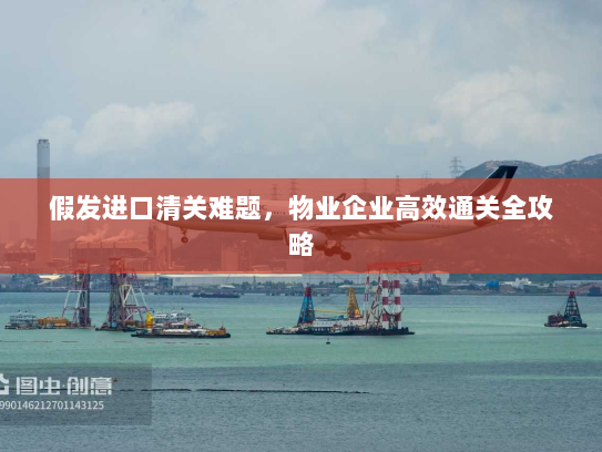 假发进口清关难题，物业企业高效通关全攻略