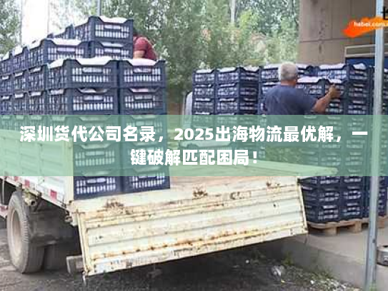深圳货代公司名录,2025出海物流最优解,一键破解匹配困局! 深圳货代公司名录,2025出海物流最优解,一键破解匹配困局!