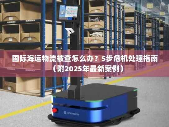 国际海运物流被查怎么办?5步危机处理指南(附2025年最新案例) 国际海运物流被查怎么办?5步危机处理指南(附2025年最新案例)