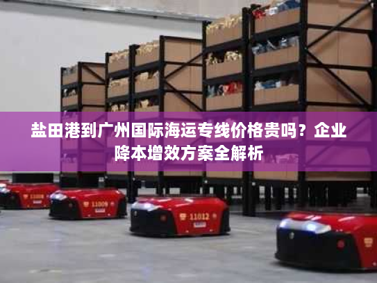盐田港到广州国际海运专线价格贵吗？企业降本增效方案全解析