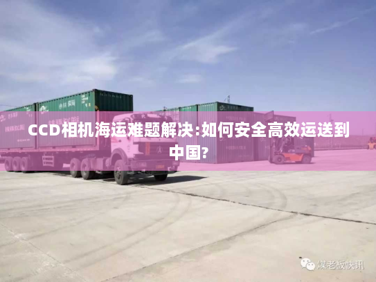 CCD相机海运难题解决:如何安全高效运送到中国?