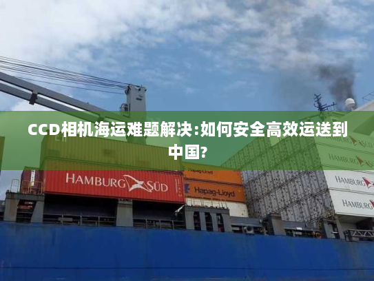 CCD相机海运难题解决:如何安全高效运送到中国?