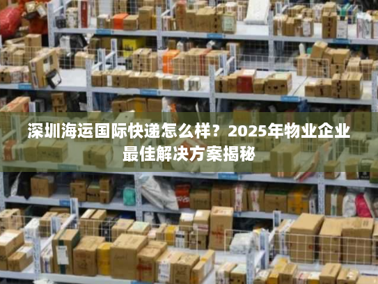 深圳海运国际快递怎么样？2025年物业企业最佳解决方案揭秘