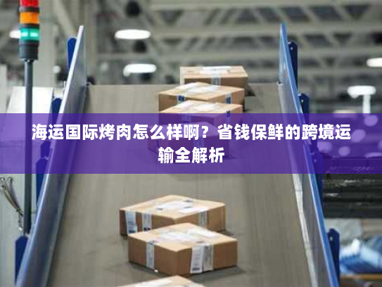 海运国际烤肉怎么样啊？省钱保鲜的跨境运输全解析