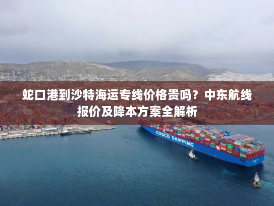 蛇口港到沙特海运专线价格贵吗？中东航线报价及降本方案全解析