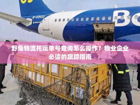 野兔物流托运单号查询怎么操作?物业企业必读的跟踪指南 野兔物流托运单号查询怎么操作?物业企业必读的跟踪指南