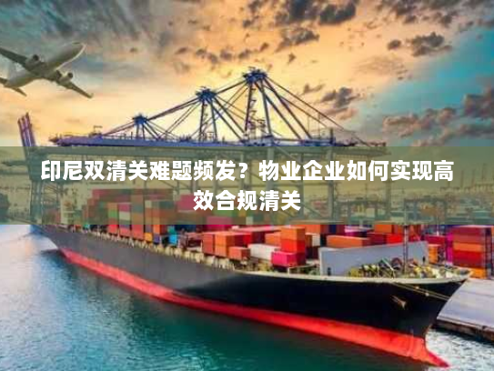 印尼双清关难题频发？物业企业如何实现高效合规清关