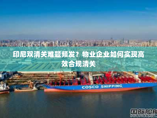 印尼双清关难题频发？物业企业如何实现高效合规清关