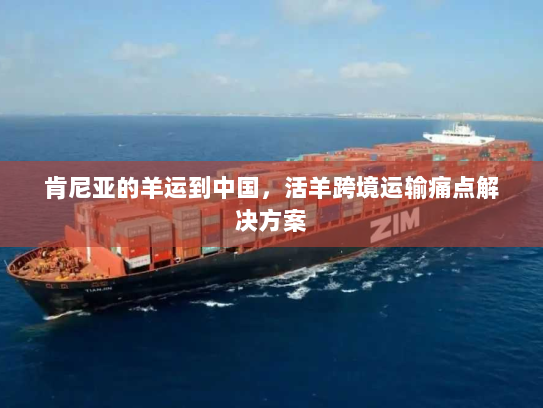 肯尼亚的羊运到中国,活羊跨境运输痛点解决方案 肯尼亚的羊运到中国,活羊跨境运输痛点解决方案