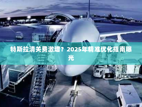 特斯拉清关费激增？2025年精准优化指南曝光