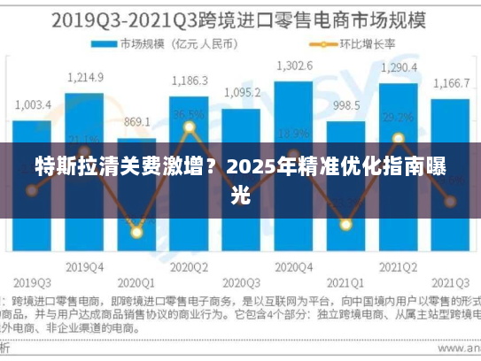 特斯拉清关费激增？2025年精准优化指南曝光