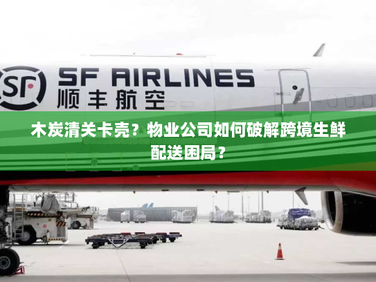木炭清关卡壳？物业公司如何破解跨境生鲜配送困局？
