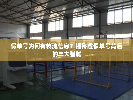 假单号为何有物流信息？揭秘虚假单号背后的三大猫腻