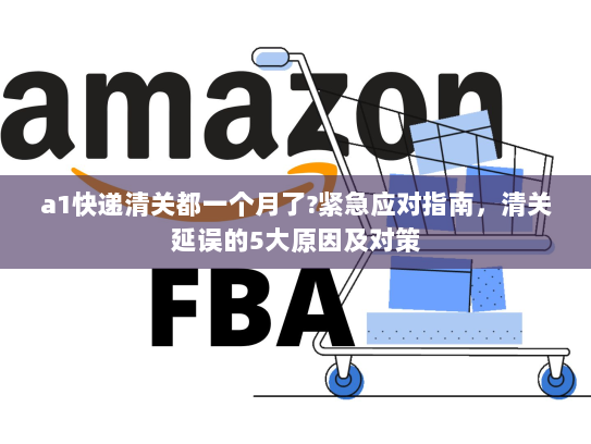 a1快递清关都一个月了?紧急应对指南，清关延误的5大原因及对策