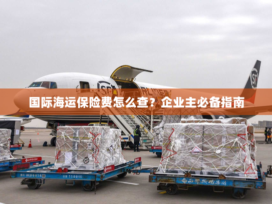 国际海运保险费怎么查？企业主必备指南