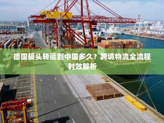 德国罐头转运到中国多久?跨境物流全流程时效解析 德国罐头转运到中国多久?跨境物流全流程时效解析